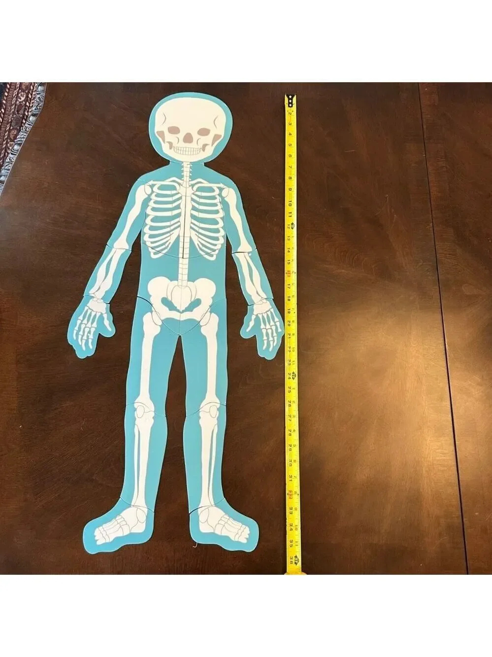Human Body Magnetic Puzzle Kids Double Sided 3 Ft Anatomy Large Skeleton Floor